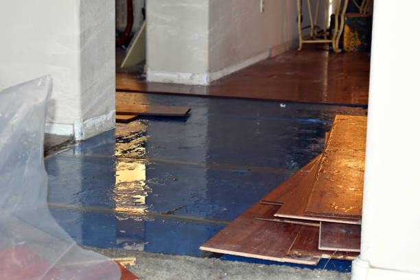 Professional Basement Flood Cleanup technician working in Flat Rock, NC